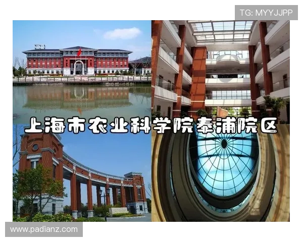 探索农力士娱乐:引领农业娱乐新潮流的创新平台 探索农力士娱乐:引领农业娱乐新潮流的创新平台